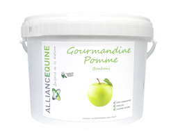 Complément alimentaire Gourmandine Pomme Bonbons Cheval Alliance Equine