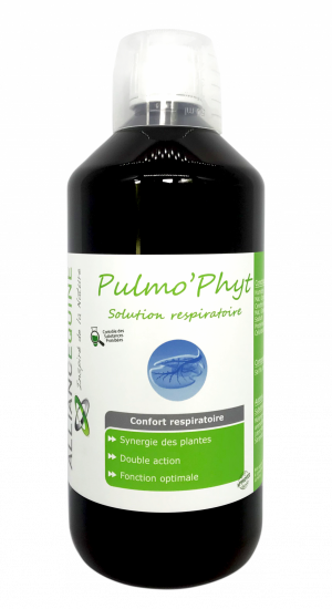 Complément alimentaire Pulmo'Phyt Soutient Voies Respiratoires Alliance Equine